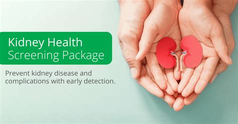 kidney health test package|kidney health check up.